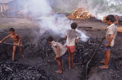 Children in Brazil involved in charcoal production Mark Edwards, Hard Rain Picture Library
